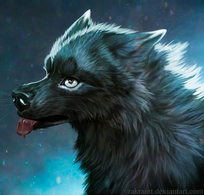 cool drawings of wolves