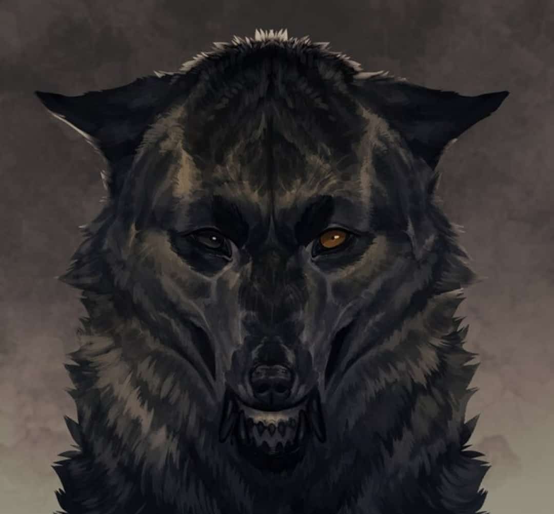 wolf drawing