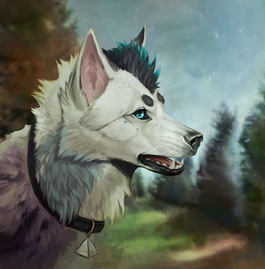 wolf art by zakraart