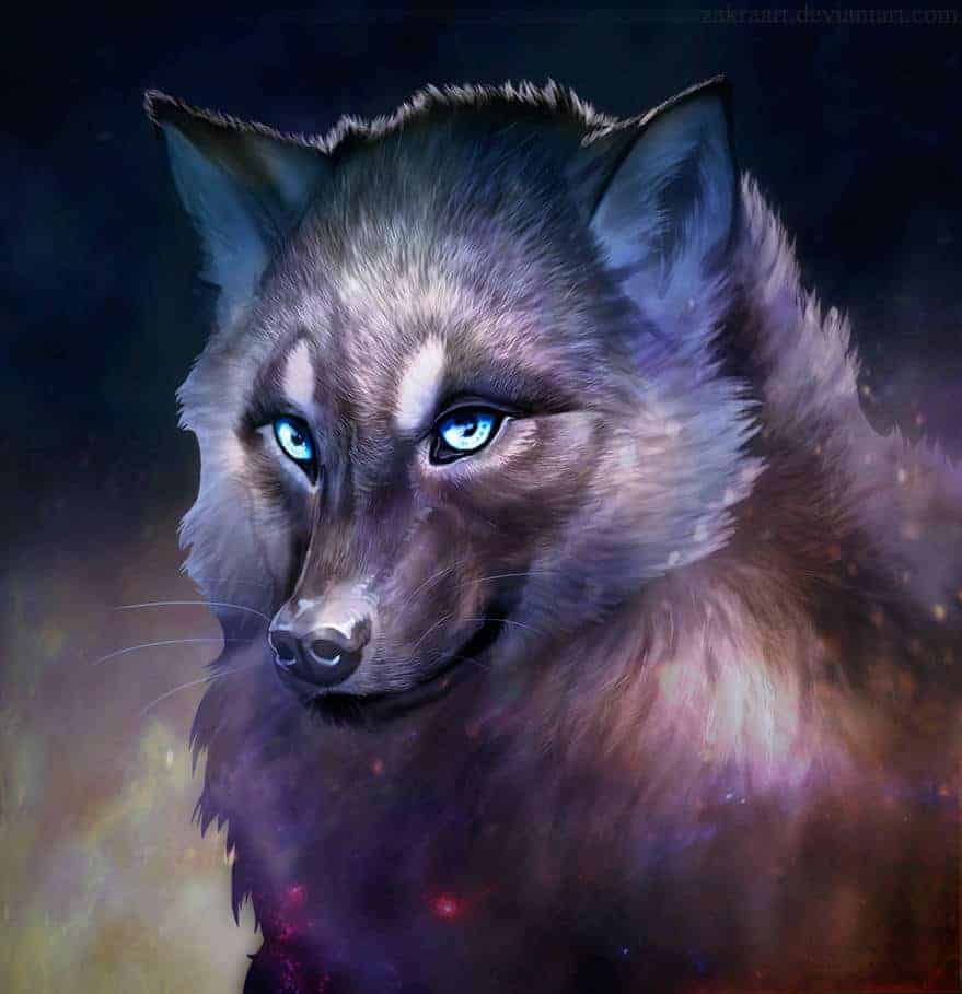 Wolf Drawing by Zakraart. Master of wolfs - ARTWOONZ