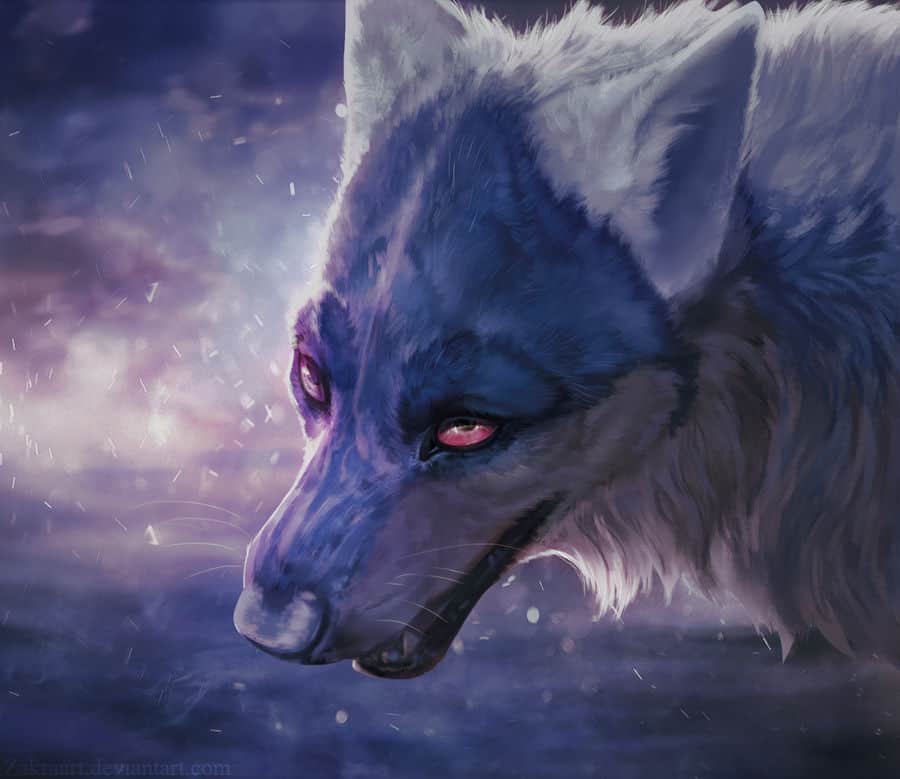 wolf drawing