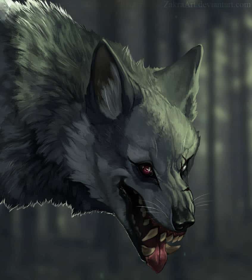 scary wolf drawings