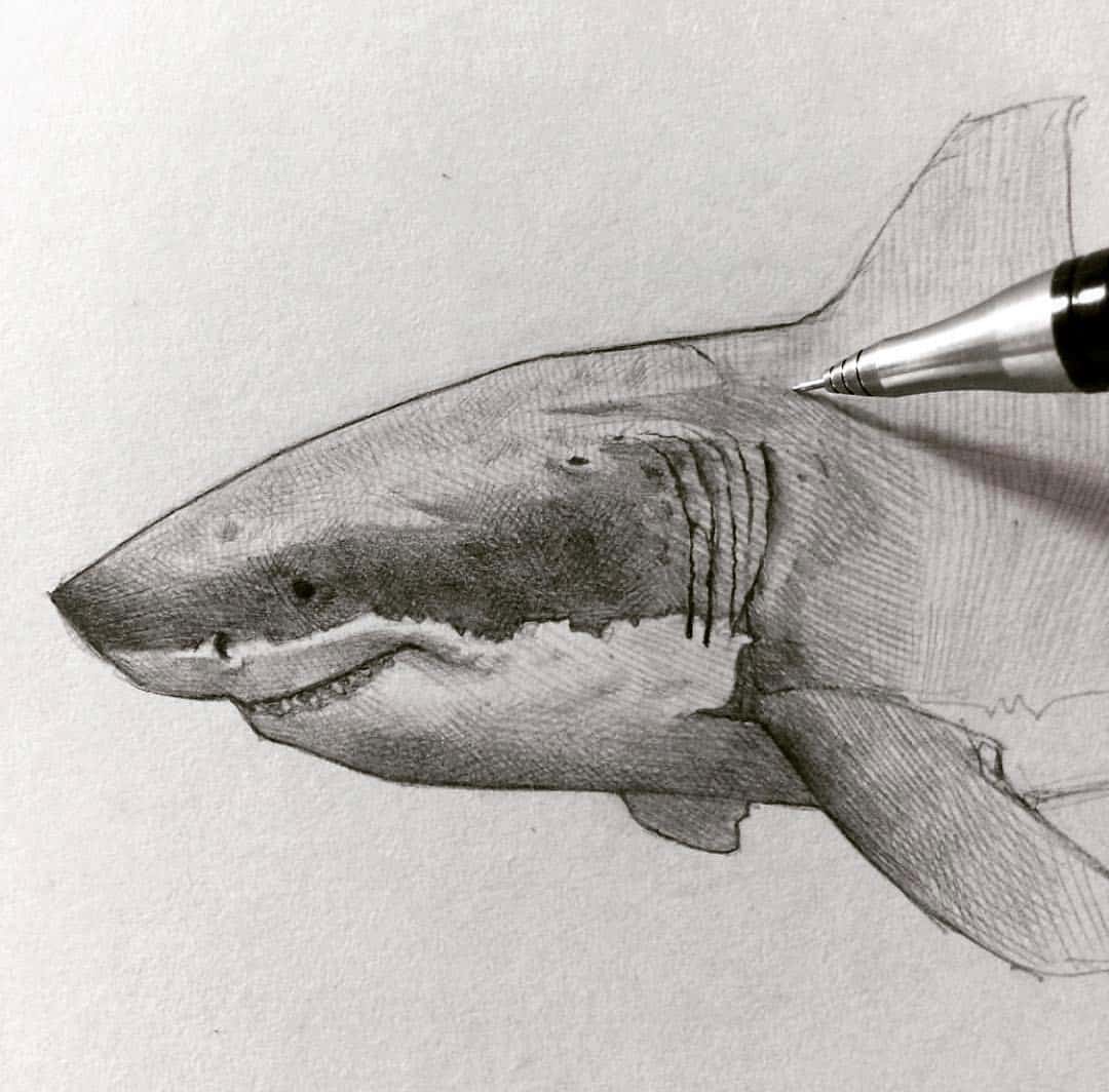 Pencil sketch